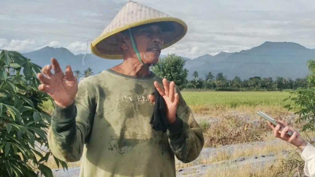 Kisah Rianto, Warga LDII Polman yang Sukses Bangun Usaha Pertanian Mandiri